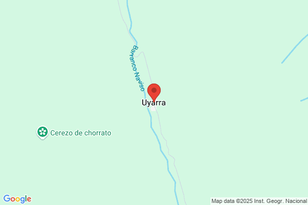 Uyarra Valencia s.