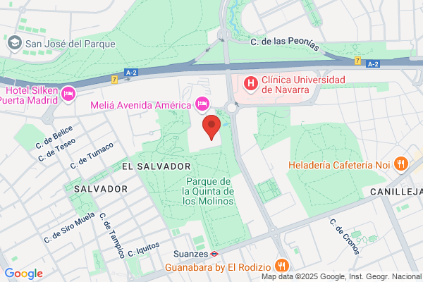 Geoconsult España Ingenieros Consultores S.A.