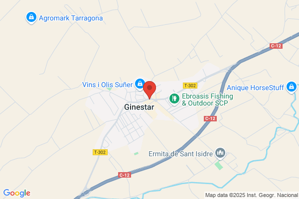 Ajuntament De Ginestar
