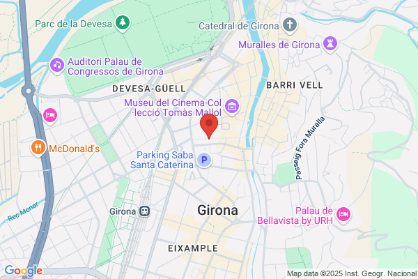 Trek Bicycle Girona