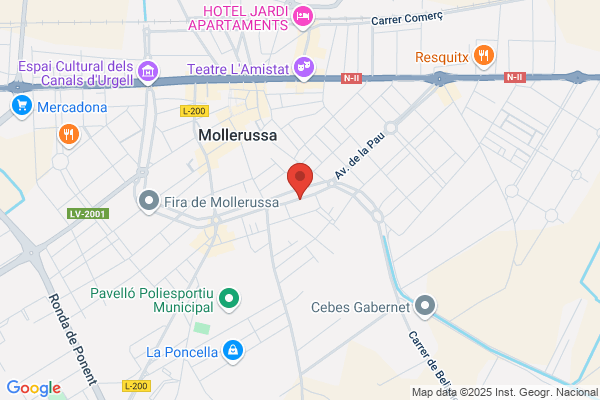 Assessoría Ortíz I Simo
