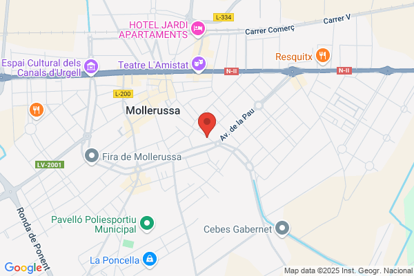 Hospital Veterinari De Mollerussa