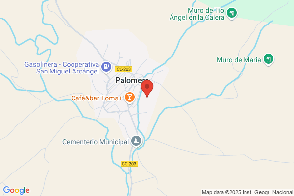 Caceres Palomero j.