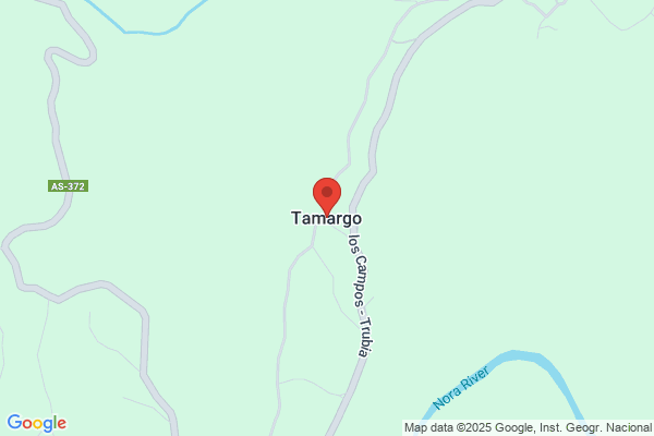 Coto Tamargo j. L.