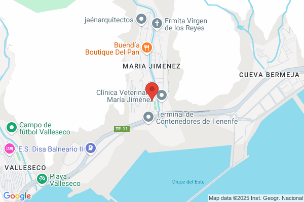 Colegio Publico Maria Jimenez