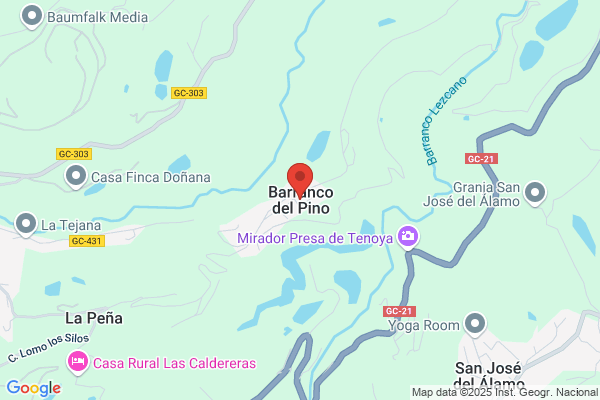 Barrios Del Pino a.
