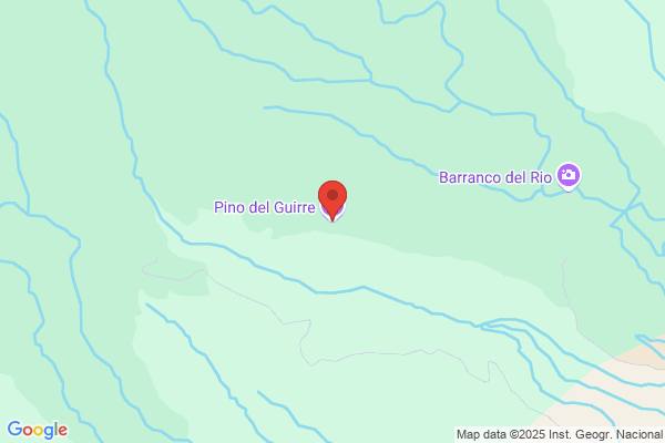 Comunidad Pozo El Pino
