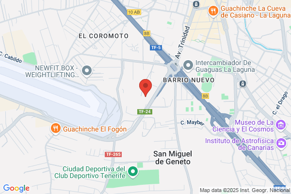 Sociedad Española De Ornitologia En Canarias