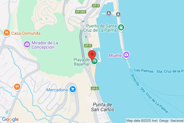 Cofradia De Pescadores Nuestra Señora De Las Nieves