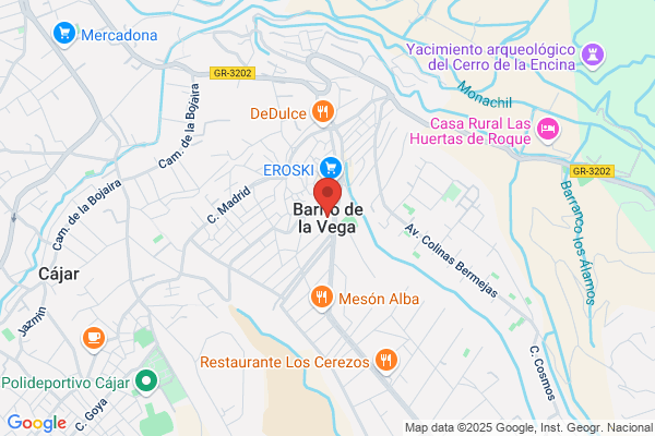 Vega Del Barrio a. De La