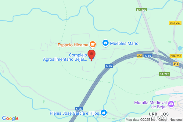 Bejar Ramon s.