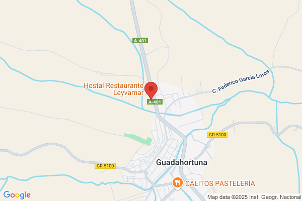 Estacion De Servicio Guadahortuna S.L.