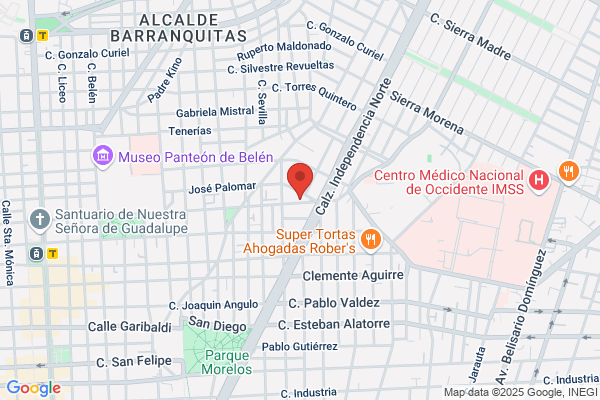 Obra Orientacion A La Joven