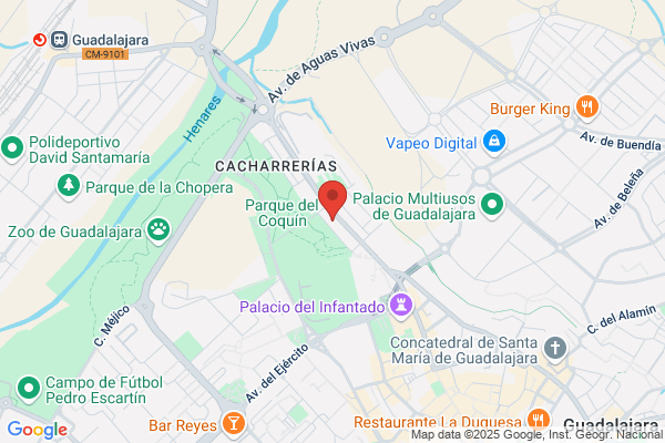 Partido Socialista Obrero Español