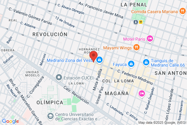 Bravo Leon - Tallas Especiales De Mujer l.