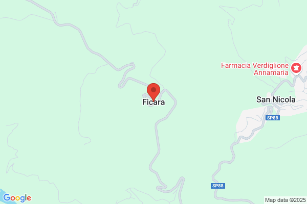Ficara S.A.