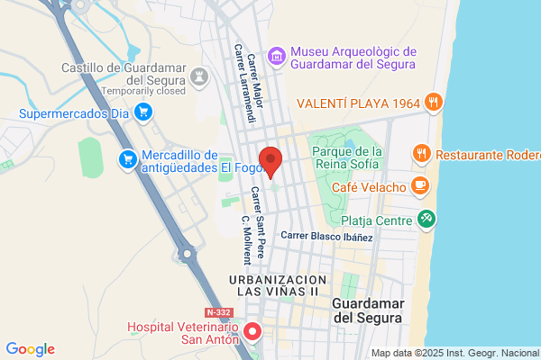 Flores Villaplana j.