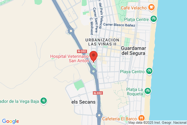 San Antón