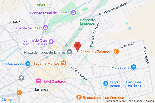 Asociacion Provincial De Allegados De Enfermos Mentales