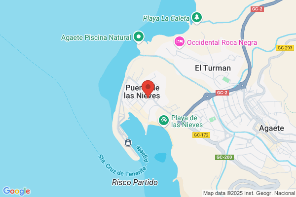 Hotel Las Nieves