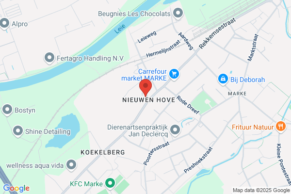 Van De Wiele nicolaas