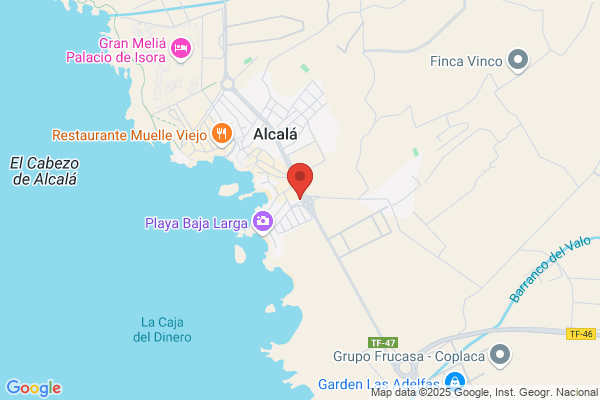 Servicios De Limpiezas C.Aleman