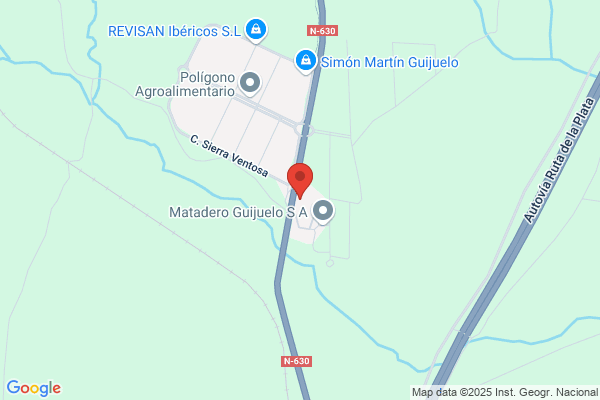 Maguisa