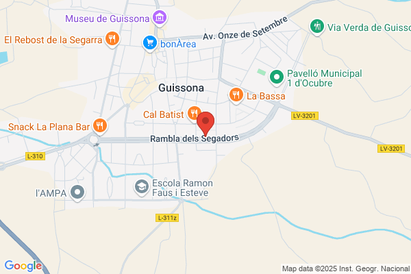 Asociacion De Padres De Alumnos De La guarderia infantil Patufetde guissona