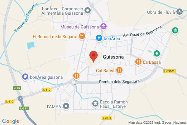 Ateneo De Guisona