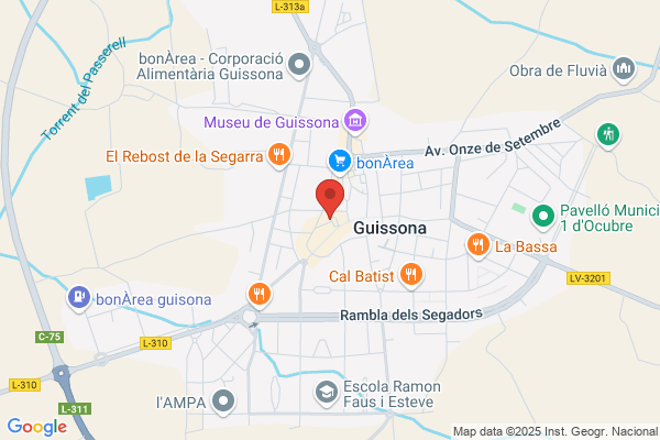 Centre Destudis De Guissona