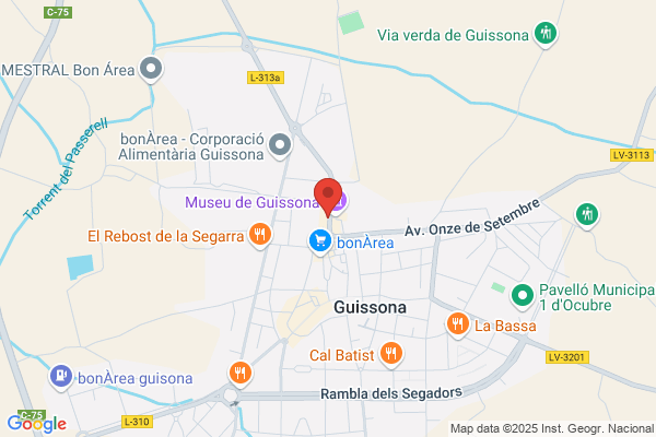 Clínica Dental Dr. Bordes Guissona