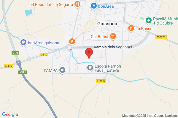 Ies Guissona