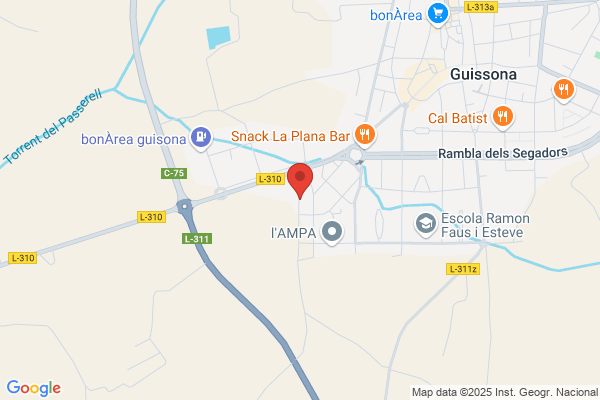 Santesnmses S.L.