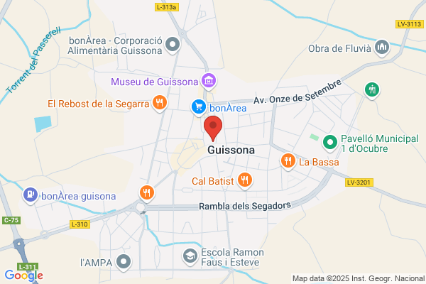 Torrents Boada - Taxis Taxista a.
