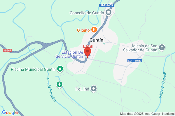 Estación De Servicio Guntín