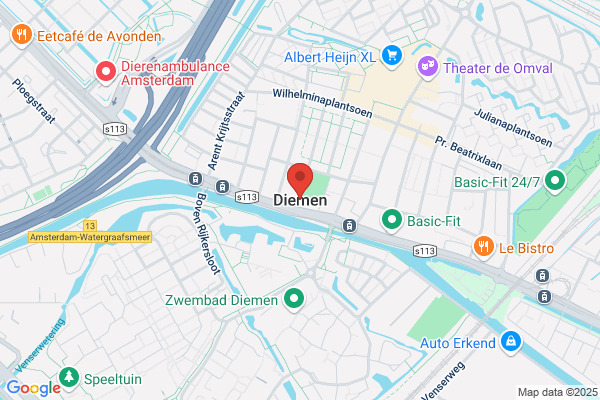 Diemen S.A.