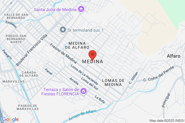 Medina Leon a.