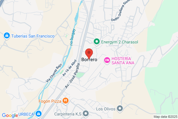 Borrero Mora i.