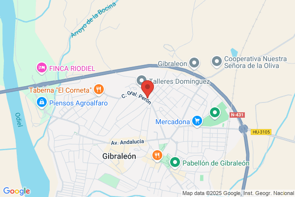 Gabinete Mercantil Onubense S.L