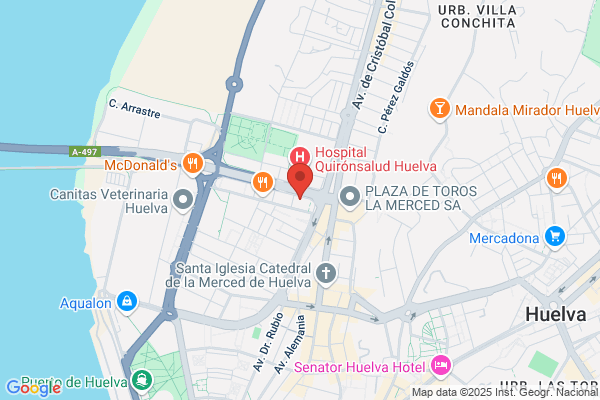 Restaurante Pizzeria Damichi S.L.