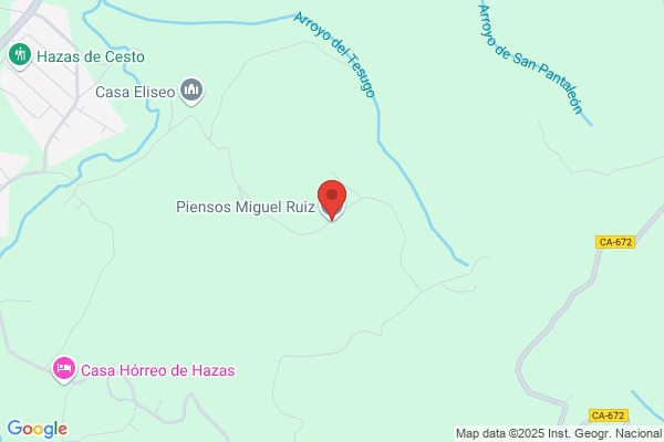 Piensos Jesus Saiz S L