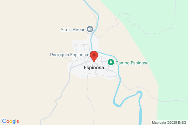 Espinosa Aranda m.