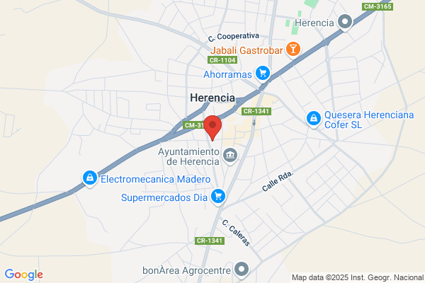 Toribio Ruiz j.
