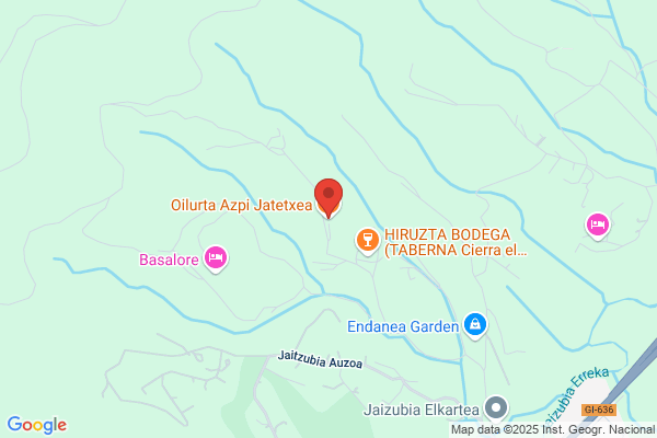 Iridoy Azaldegui f.
