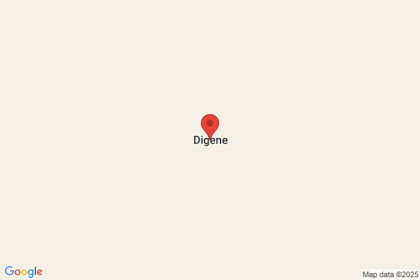 Digene S.A.