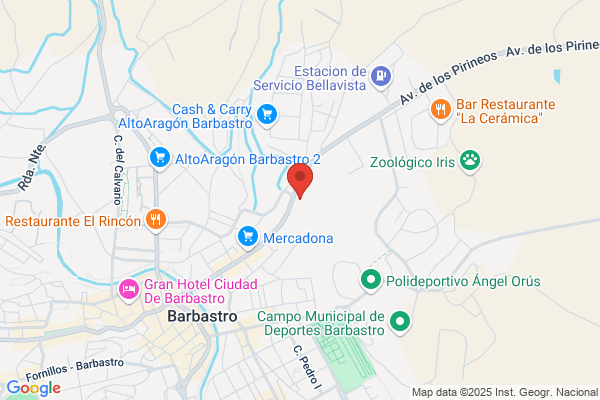Bosch Car Service Auto Somontano