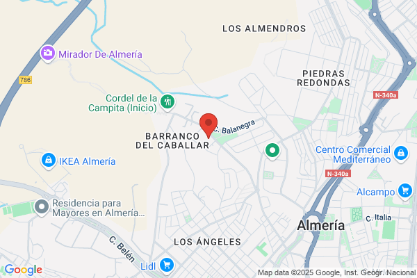 Transportes Y Contenedores Antonio Morales S.A.