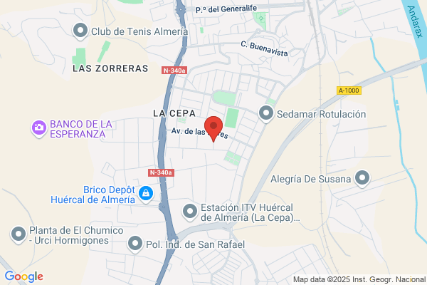 Centro Siderurgico Almeriense S.L.