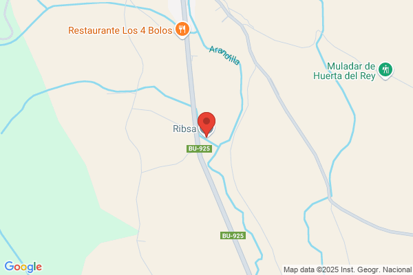 Ribsa S.A.