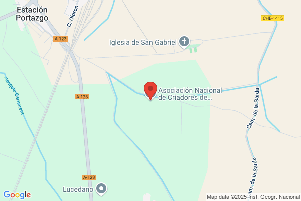 Asociacion Nacional De Criadores De Ganado Ovino selecto De raza
